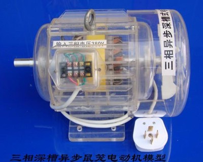 三相異步深槽鼠籠式電動(dòng)機(jī)模型 三相異步深槽鼠籠式電動(dòng)機(jī)模型