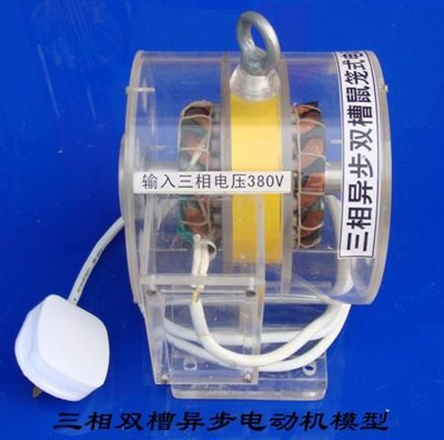 三相異步雙槽鼠籠式電動(dòng)機(jī)模型 三相異步雙槽鼠籠式電動(dòng)機(jī)模型
