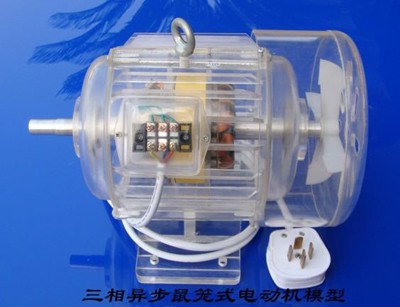 三相異步鼠籠式電動(dòng)機(jī)模型 三相異步鼠籠式電動(dòng)機(jī)模型